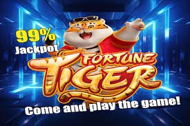 bewokbet featured game showcase